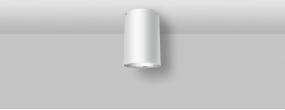 Ceiling Mounted - SD041-30W