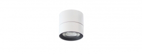 Ceiling Mounted - SD10-M-20W