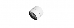 Ceiling Mounted - SD10-L-28W